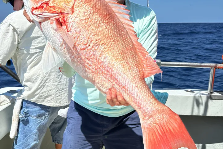 a man holding a fish in the water