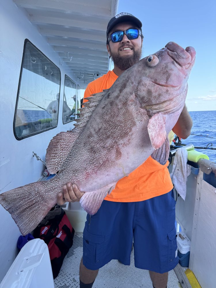 a person holding a fish