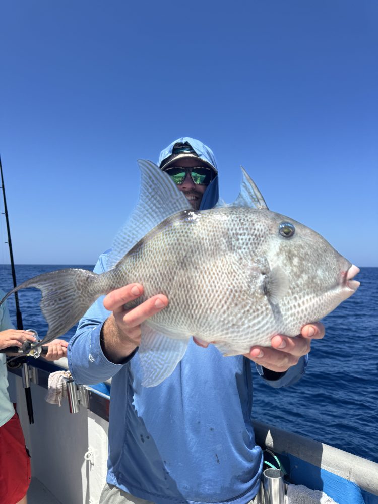 a man holding a fish in the water